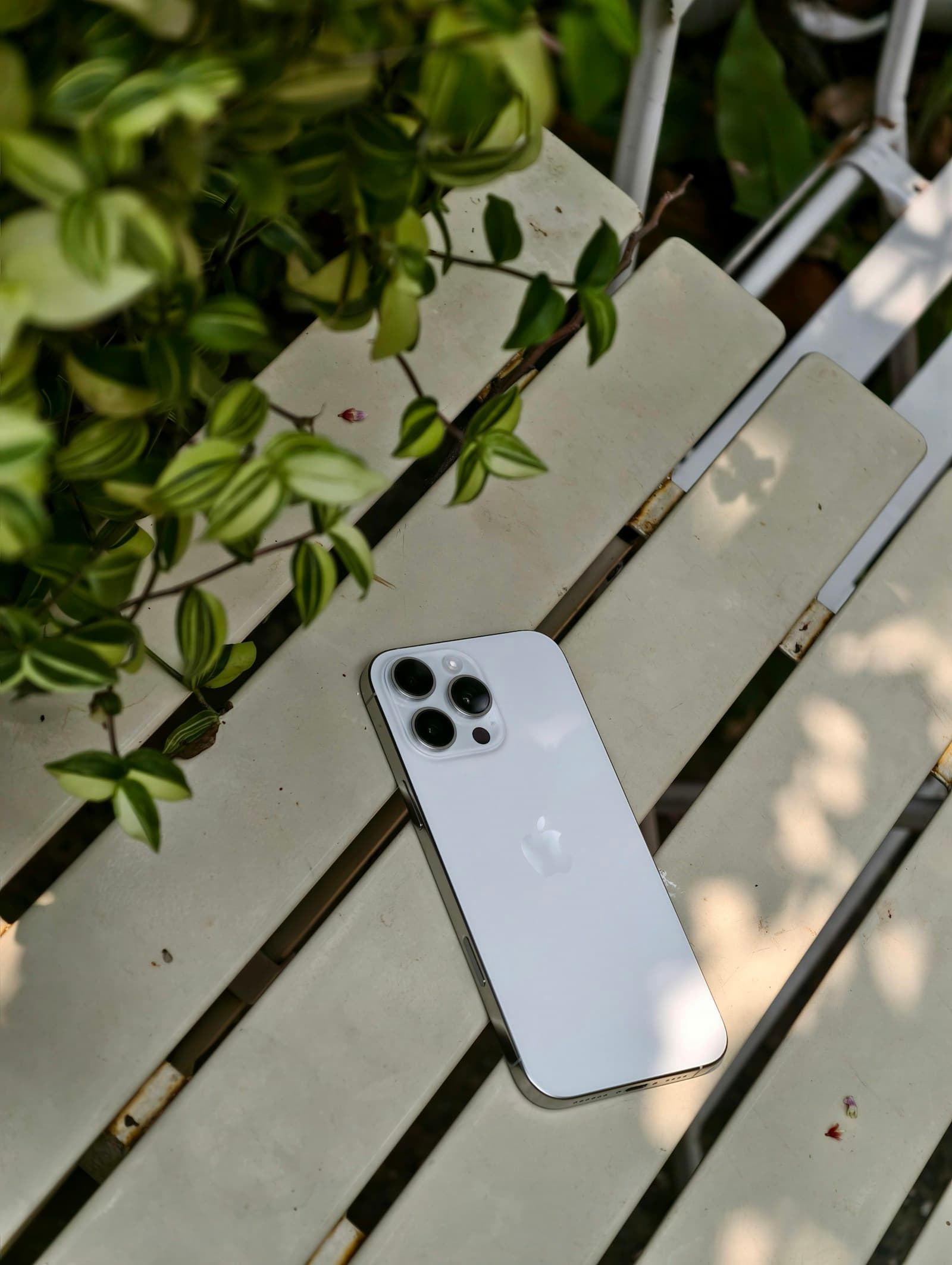 Mobile Accessories